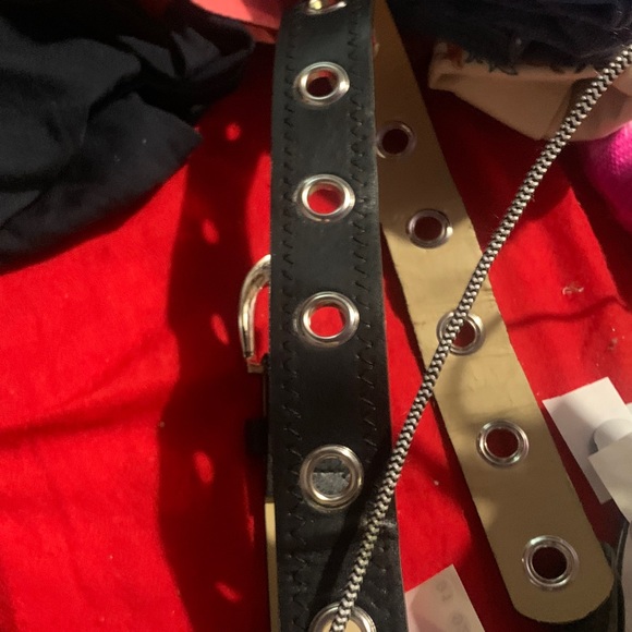 Belt - Picture 1 of 1